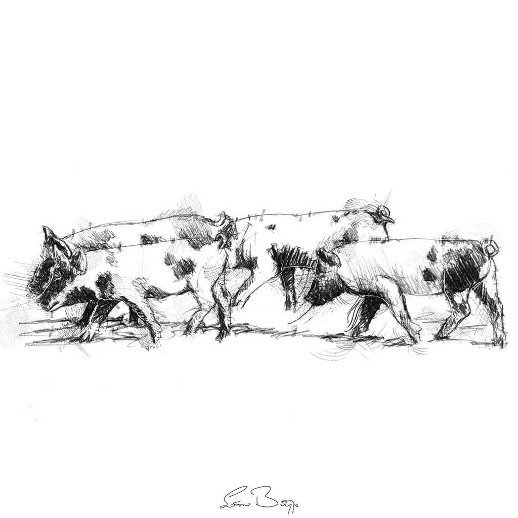 Piglets