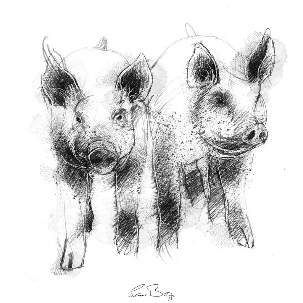 Piglet sisters