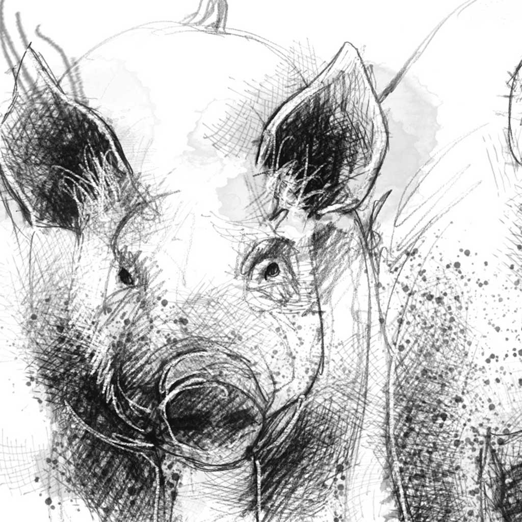 Piglet sisters