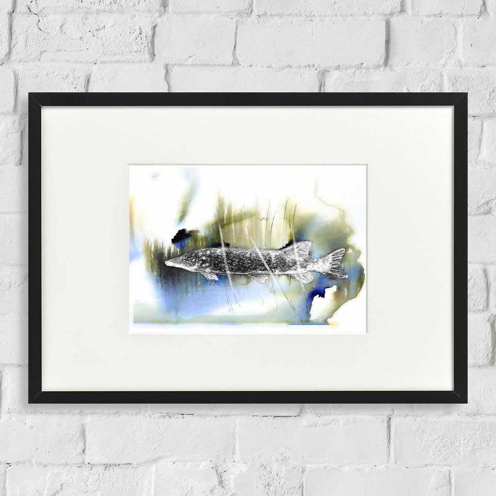 Pike fish