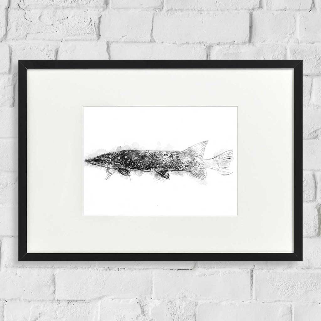 Pike