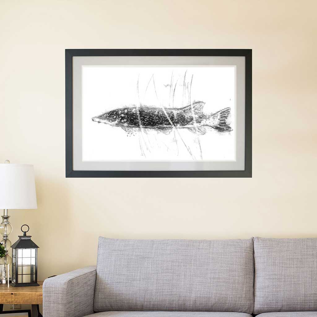 Pike fish