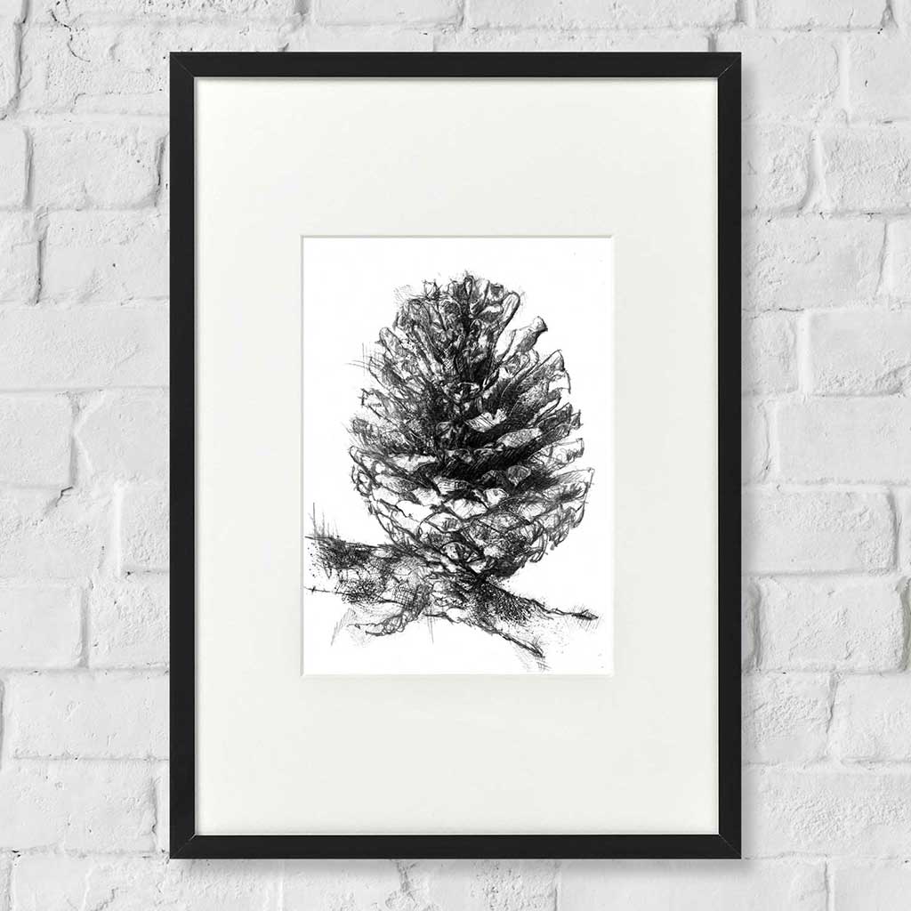 Pine cone