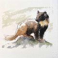 Pine marten original mini sketch