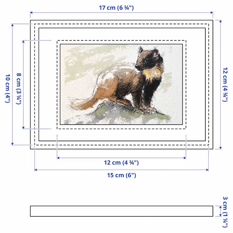 Pine marten original mini sketch