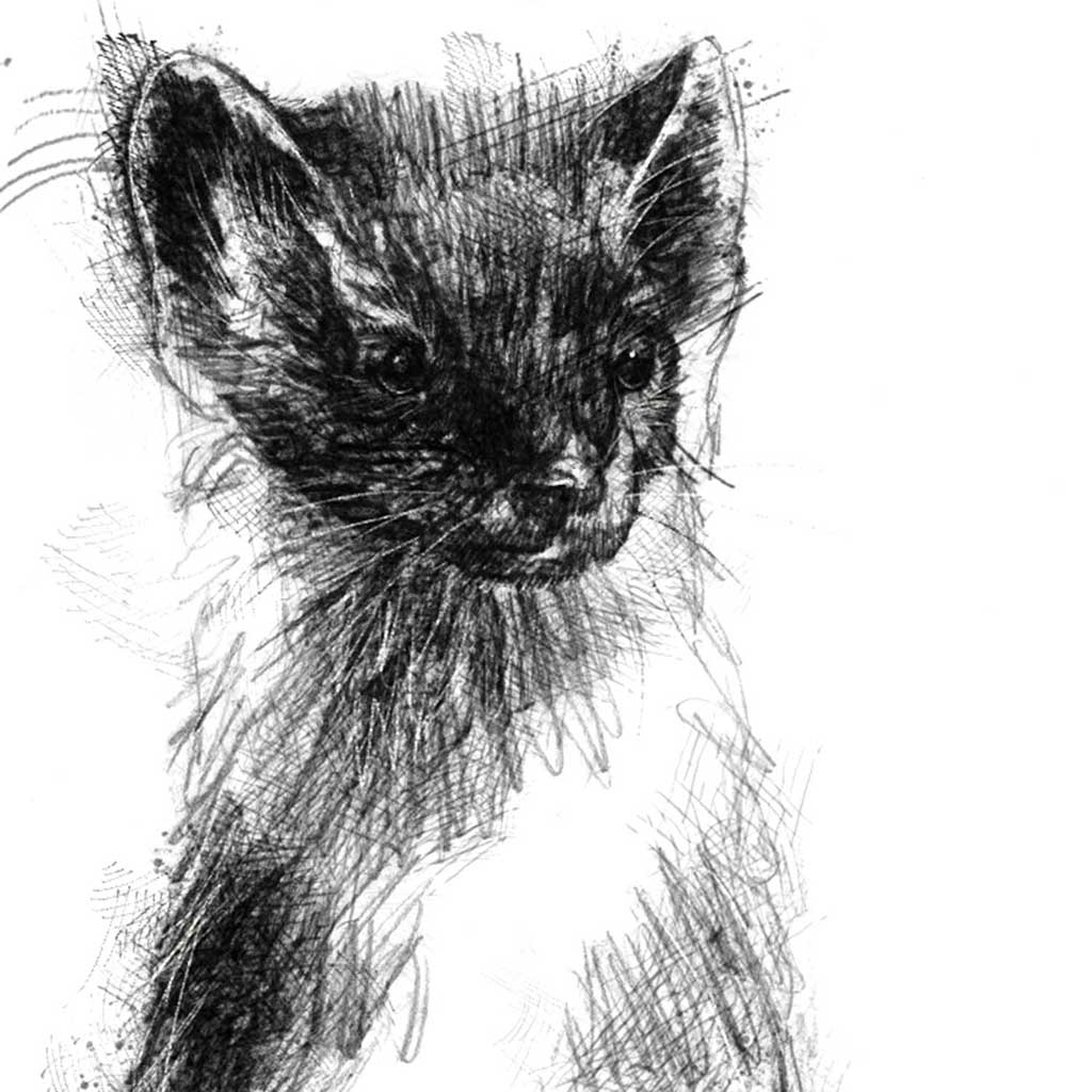 Pinemarten