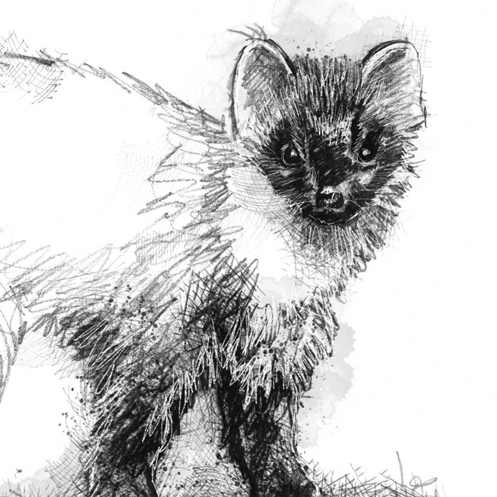 Pinemarten