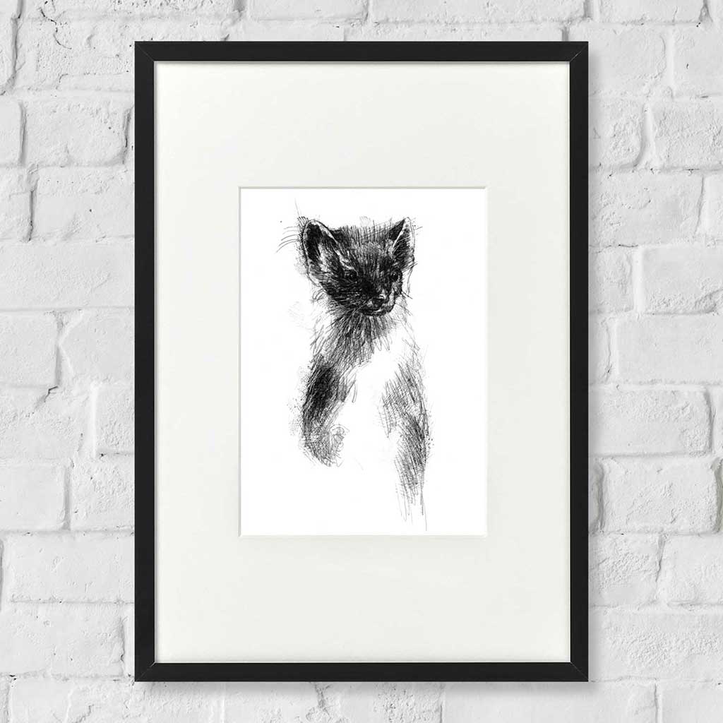 Pinemarten