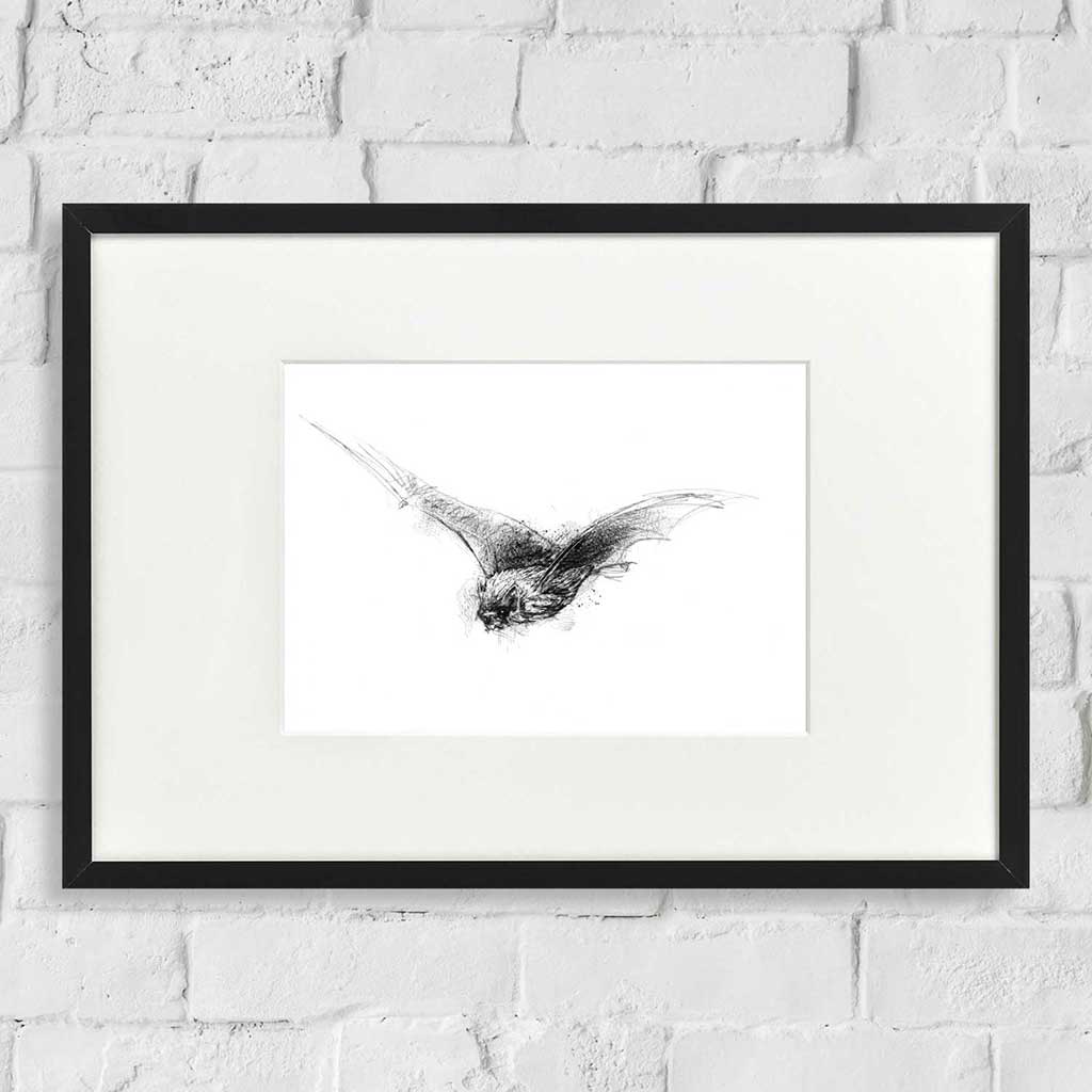Pipistril bat