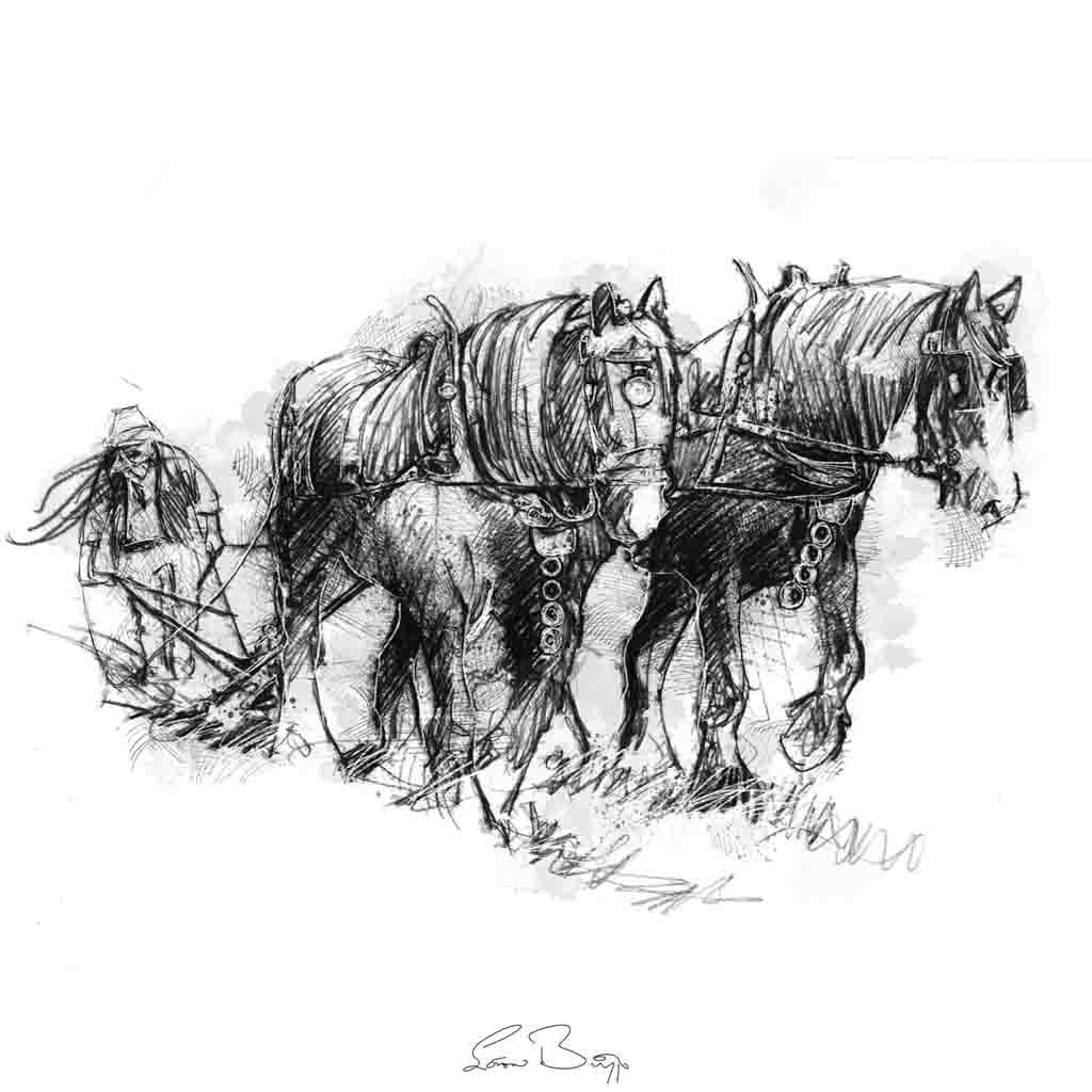 Horse ploughing