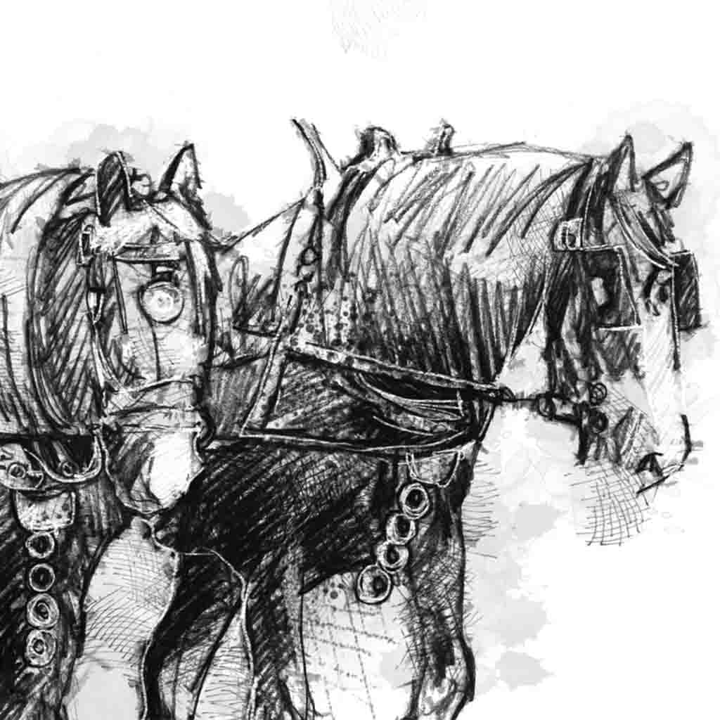 Horse ploughing
