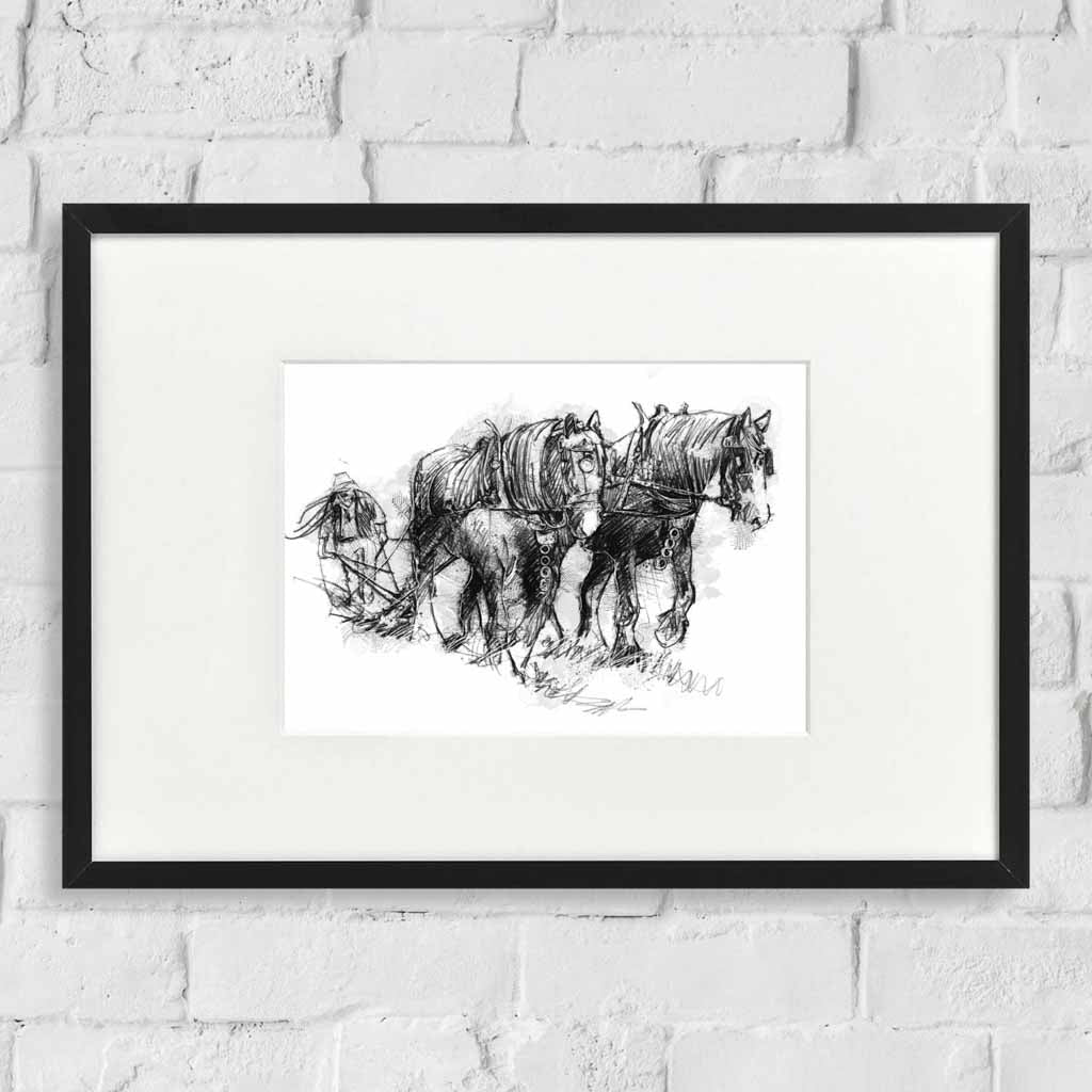 Horse ploughing