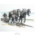 Plough horses