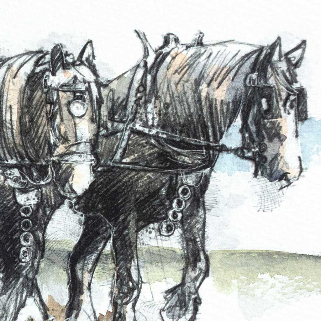 Plough horses
