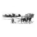 Ploughing the fields