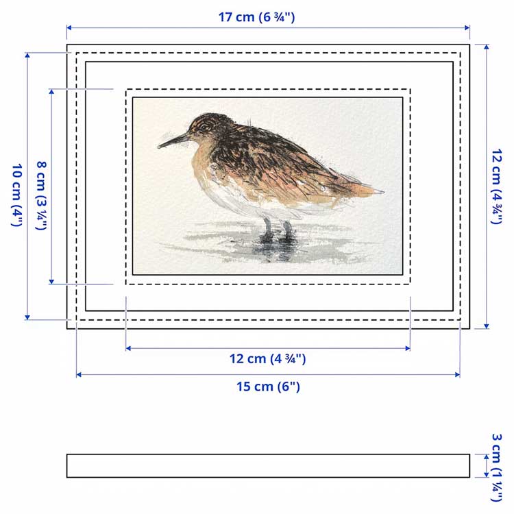 Plover mini sketch