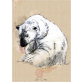 Polar bear