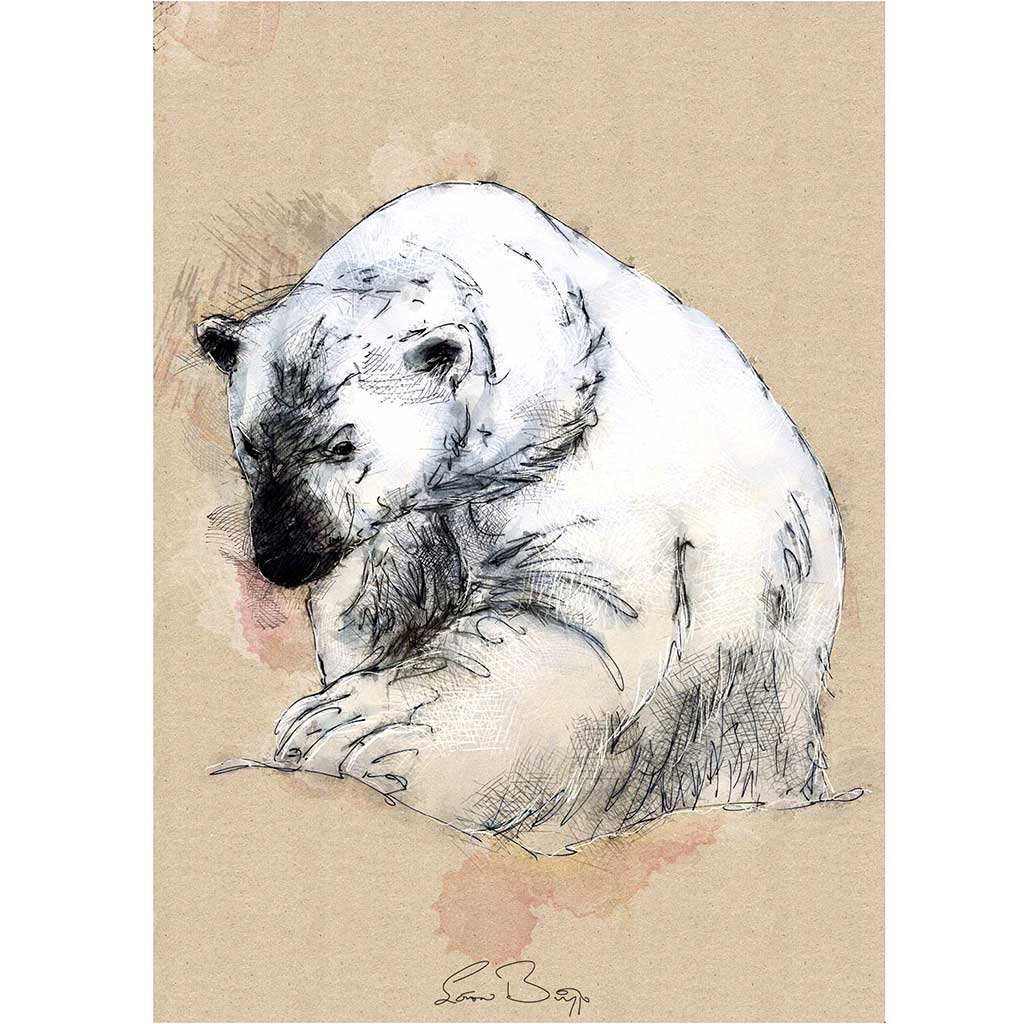 Polar bear