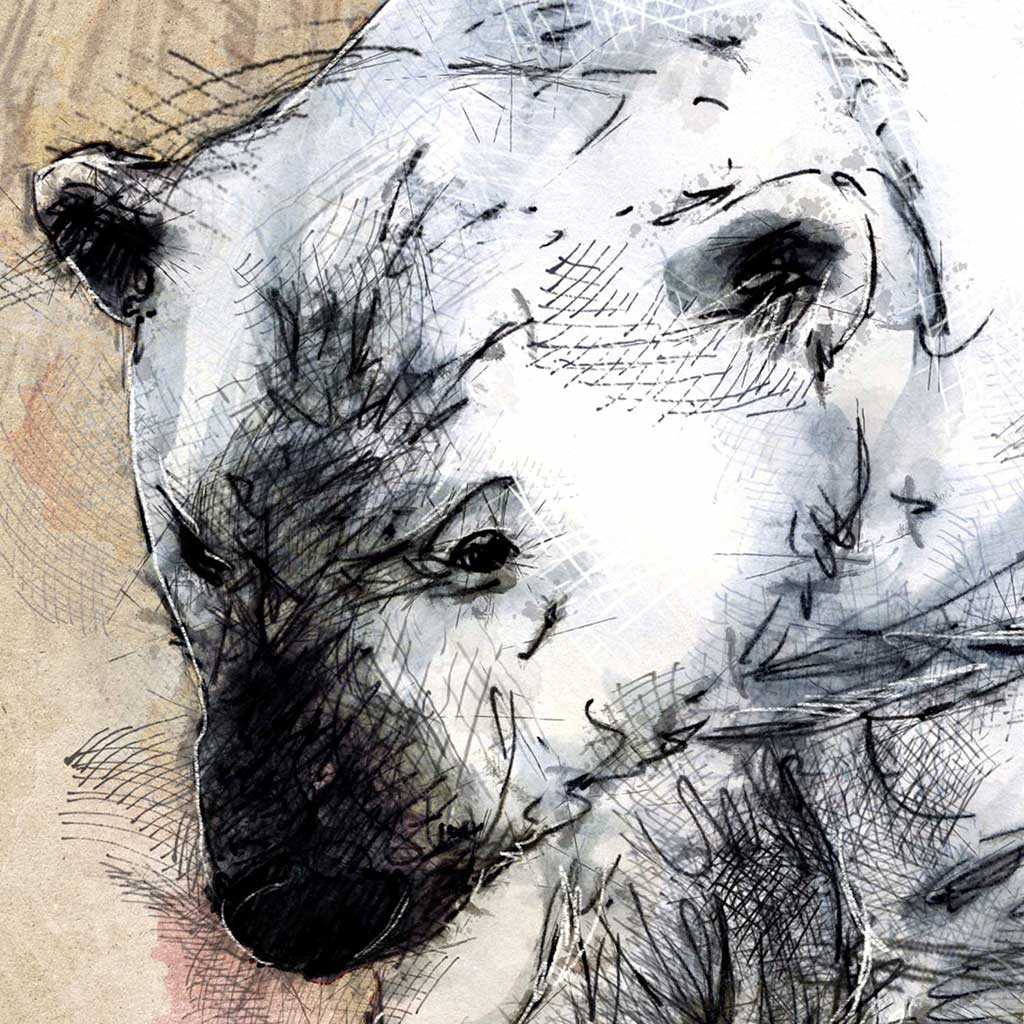 Polar bear