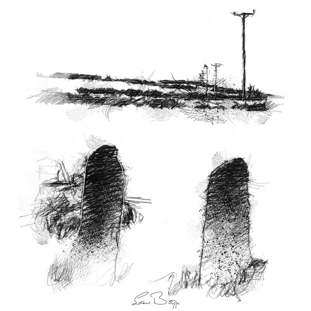 Electricity poles