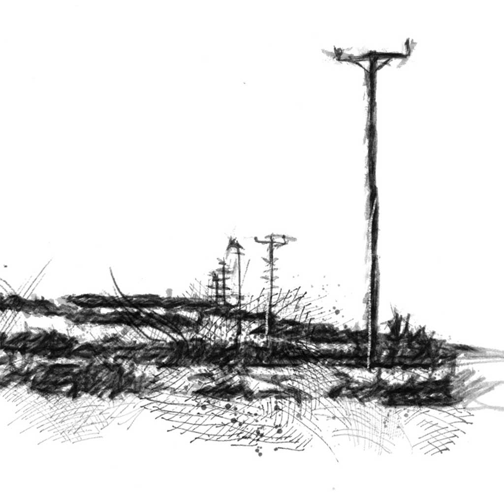Electricity poles