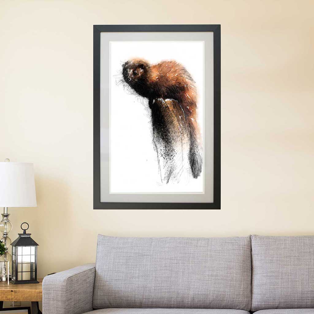 Polecat colour