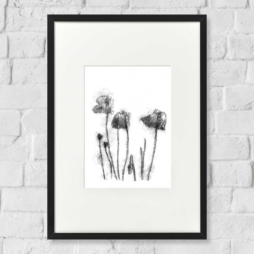 Poppies