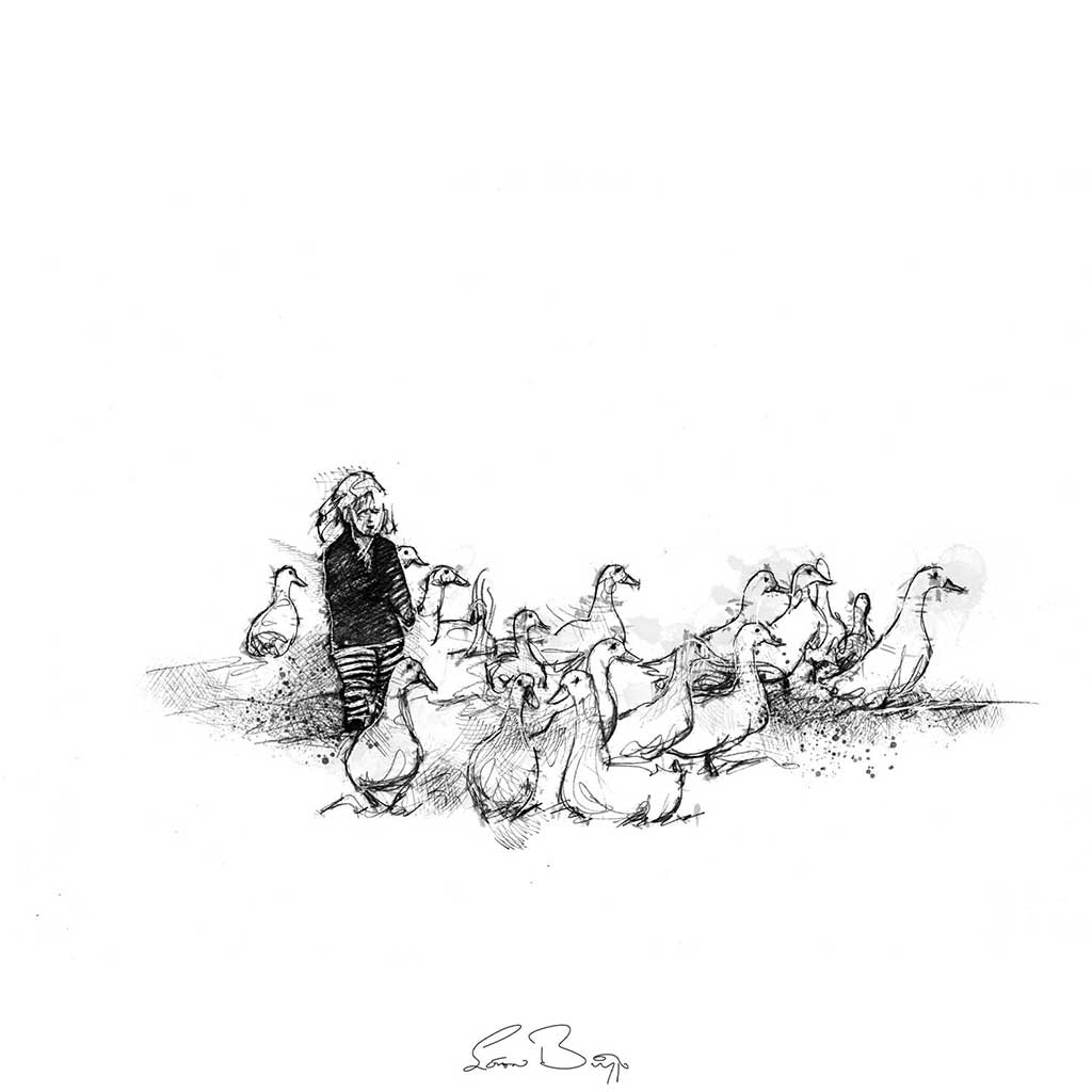 Herding ducks