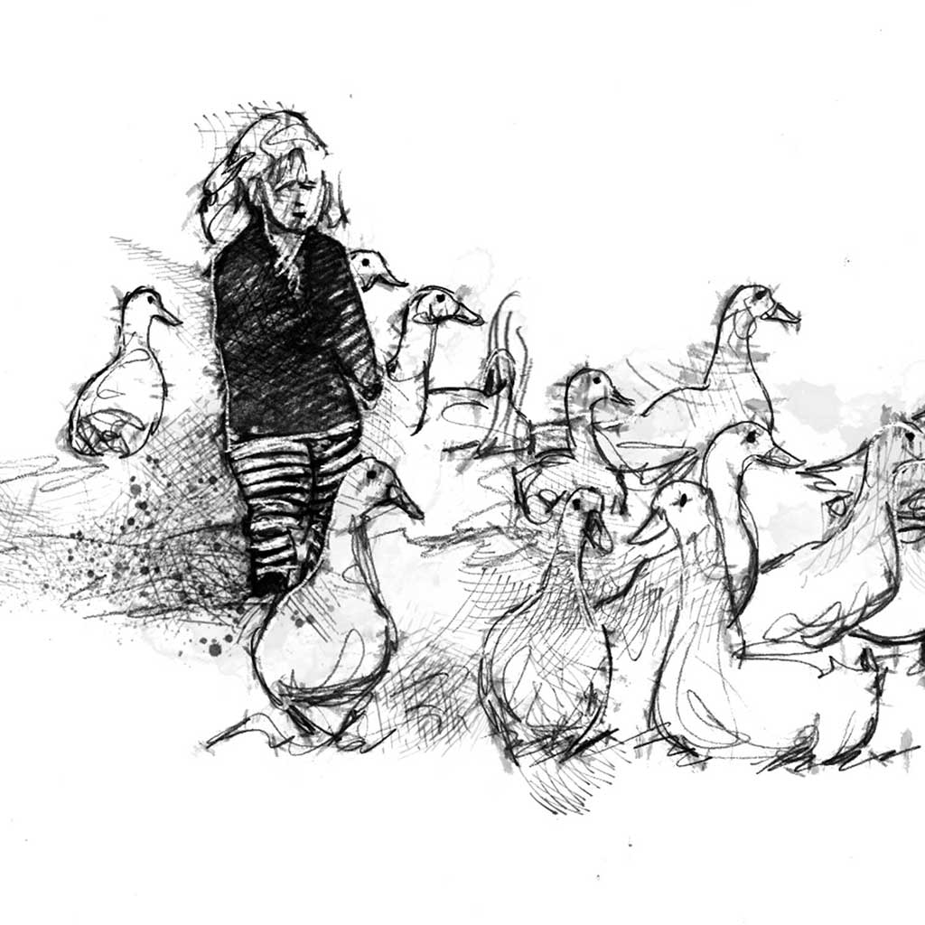 Herding ducks