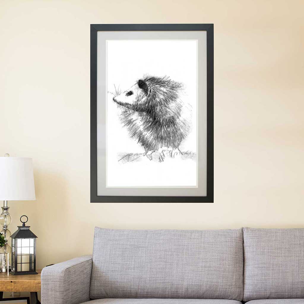 possum