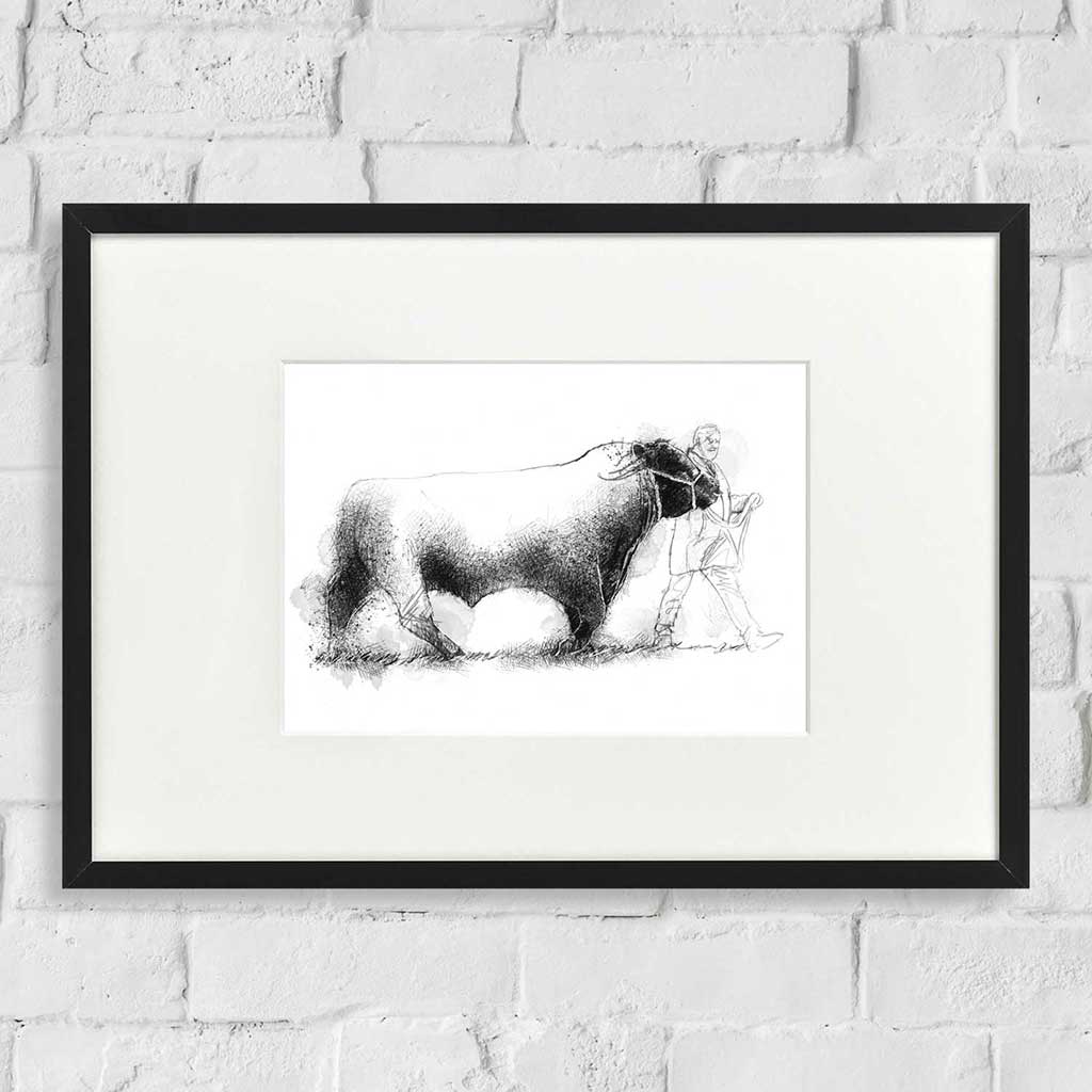 Prize bull