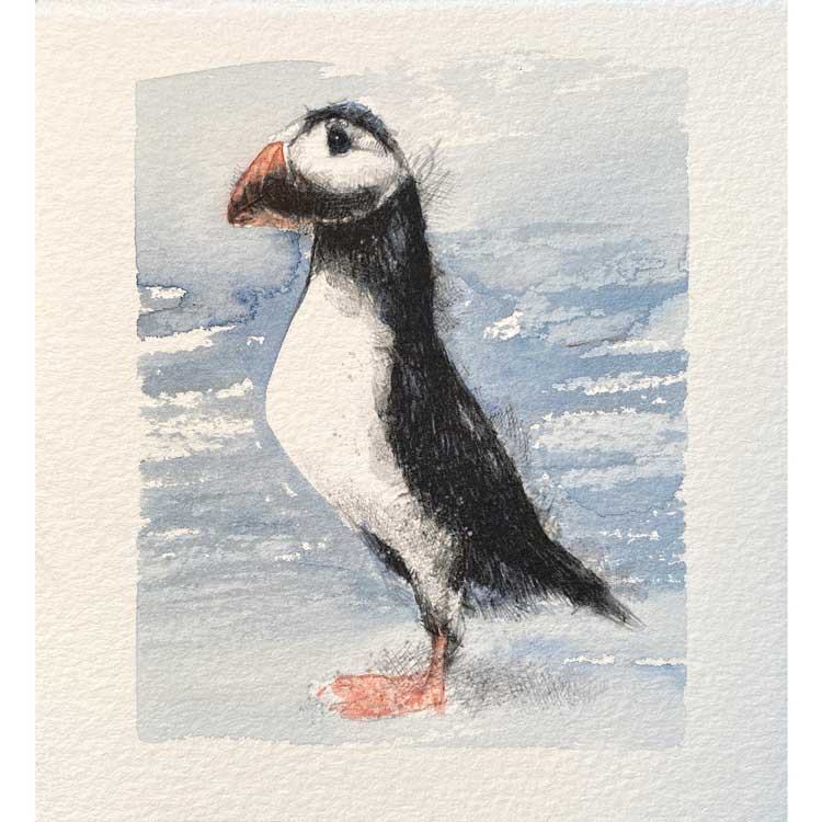 Puffin mini sketch