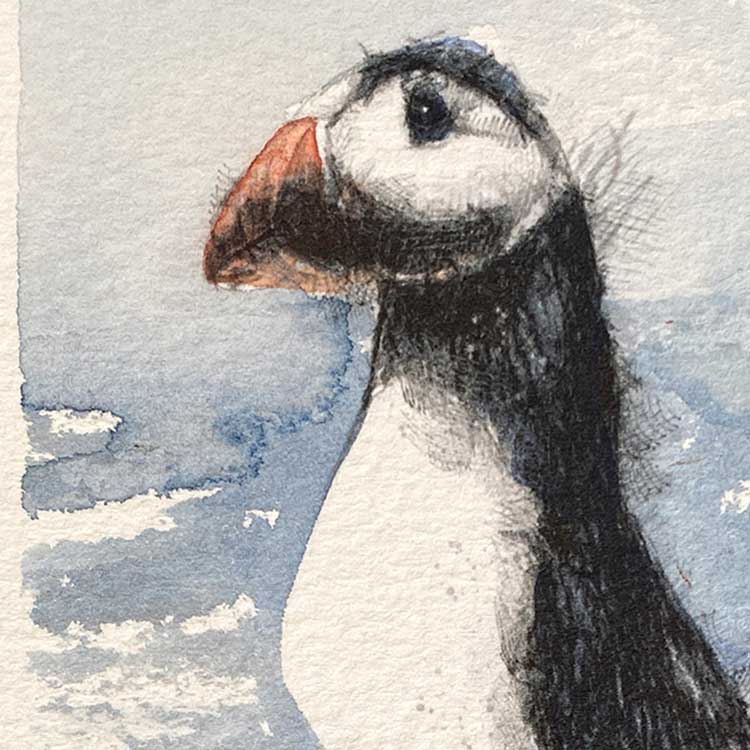 Puffin mini sketch