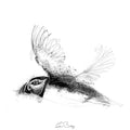 Puffin flight