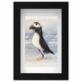 Puffin mini sketch