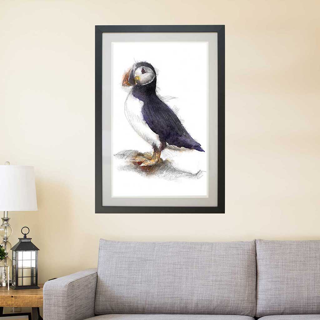 Puffin