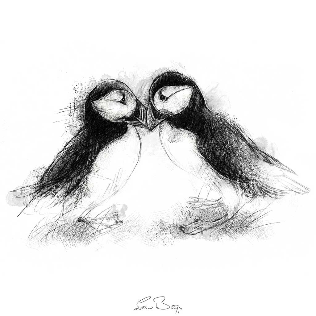 Puffins