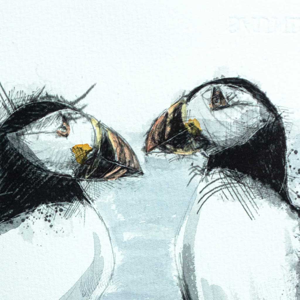 Puffins