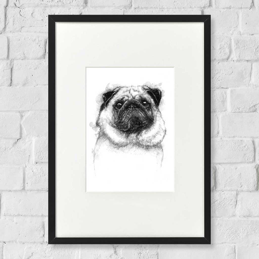 Pug dog