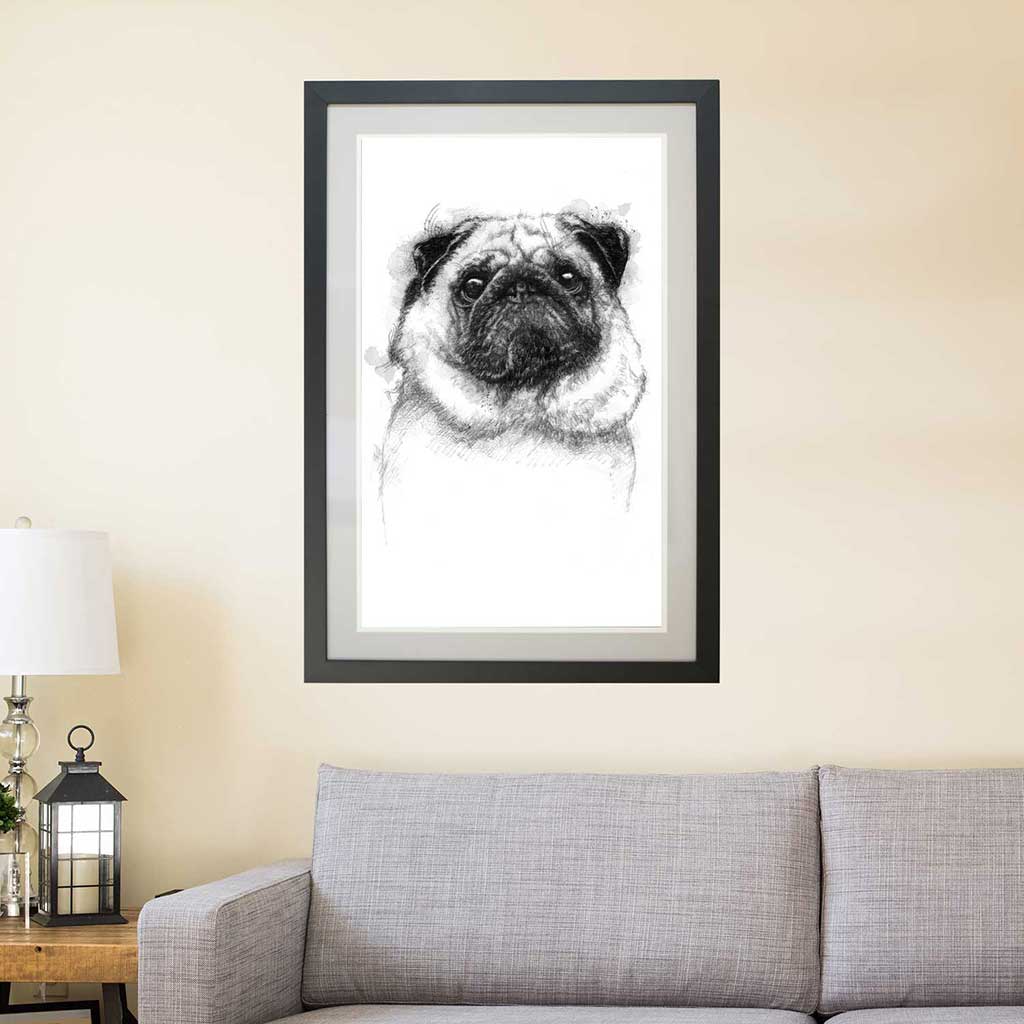 Pug dog