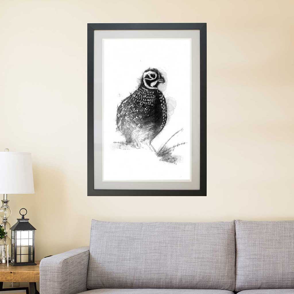 Quail