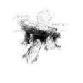 A black and white sketch-style illustration of a stone quoit burial chamber, rendered with expressive linework and cross-hatching on a plain white background.