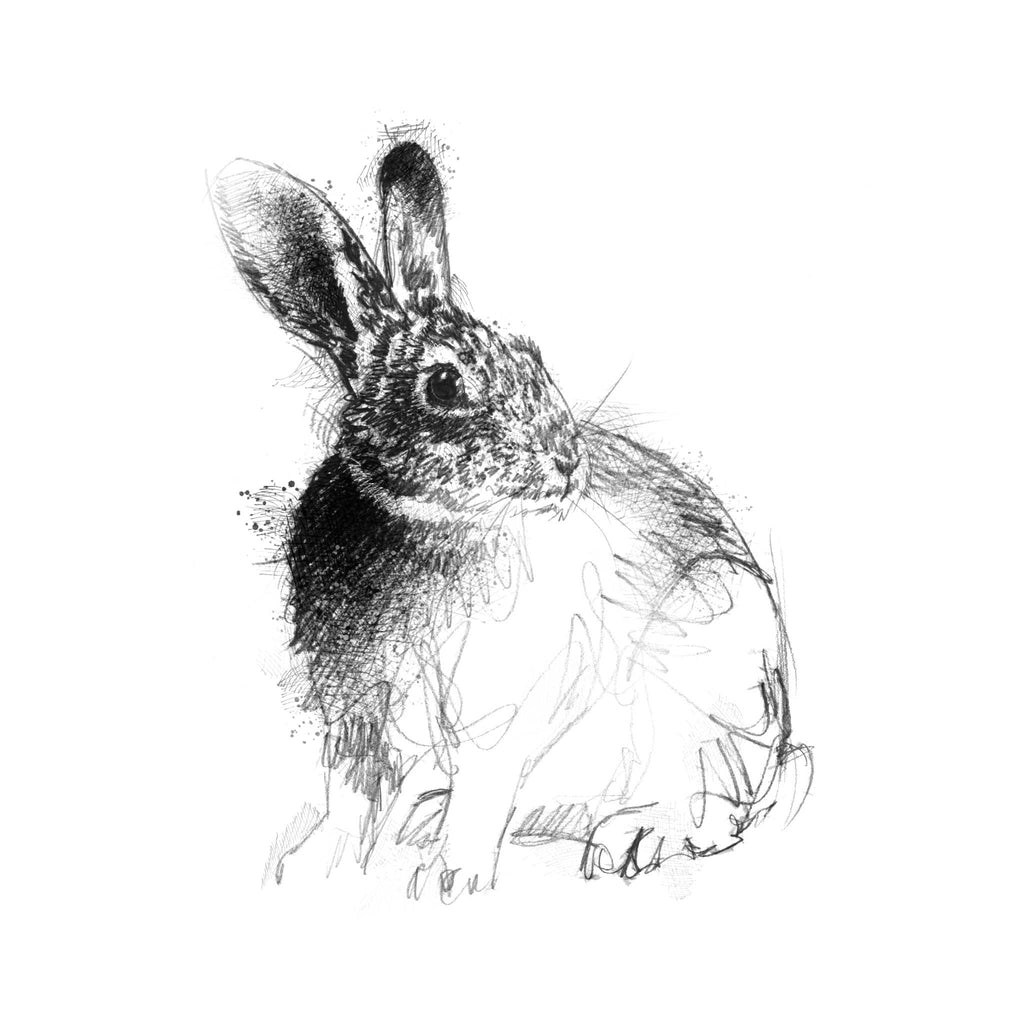 Rabbit - BW Sketch