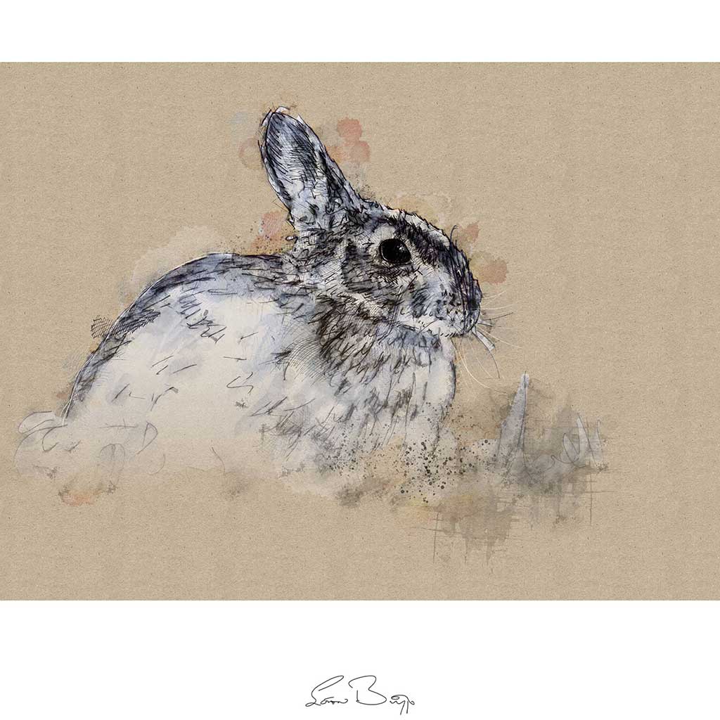 Rabbit