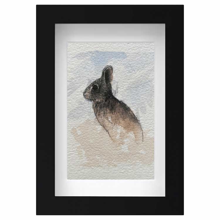 Rabbit mini sketch
