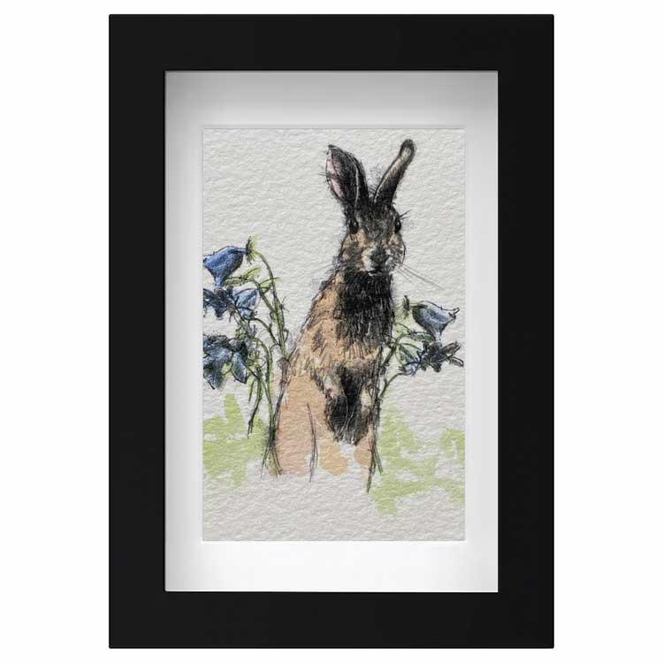 Rabbit mini sketch