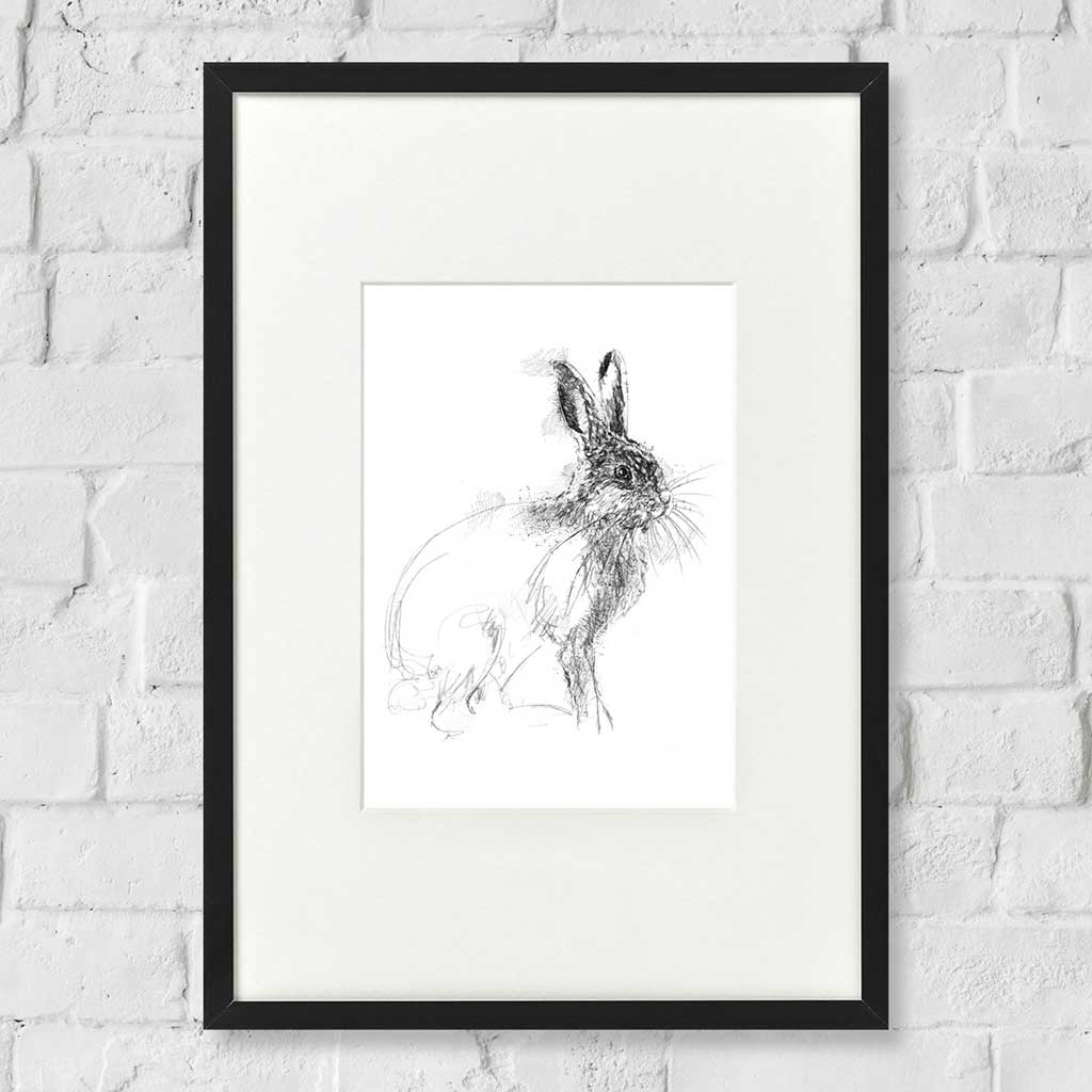 Young rabbit
