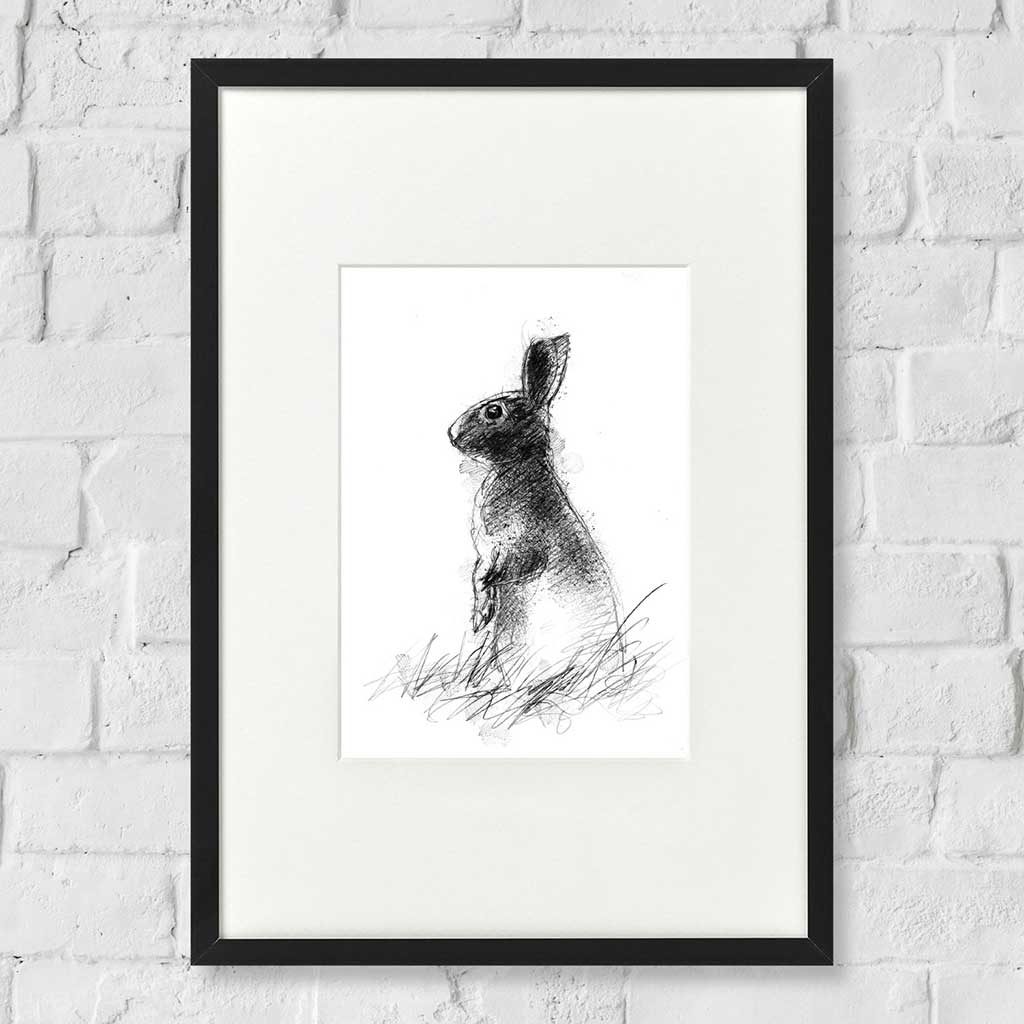 Young rabbit
