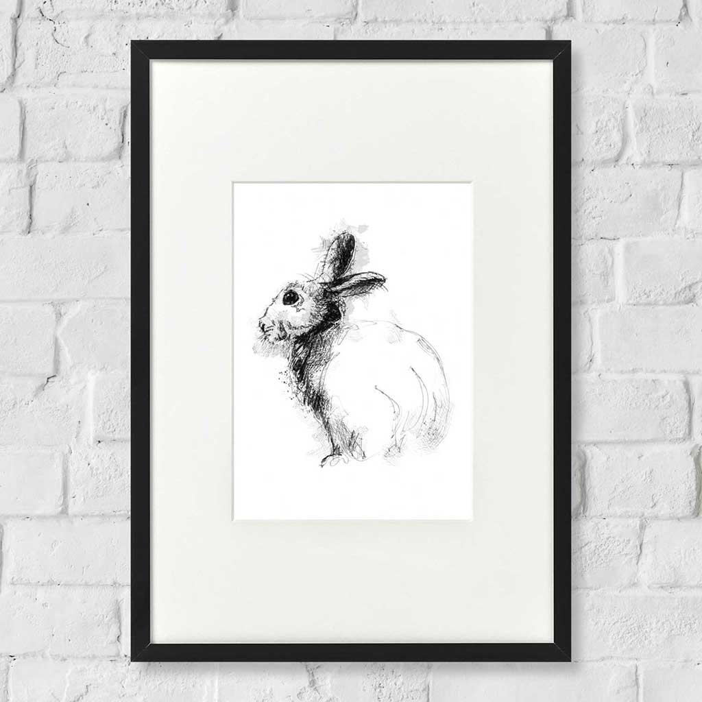 Rabbit