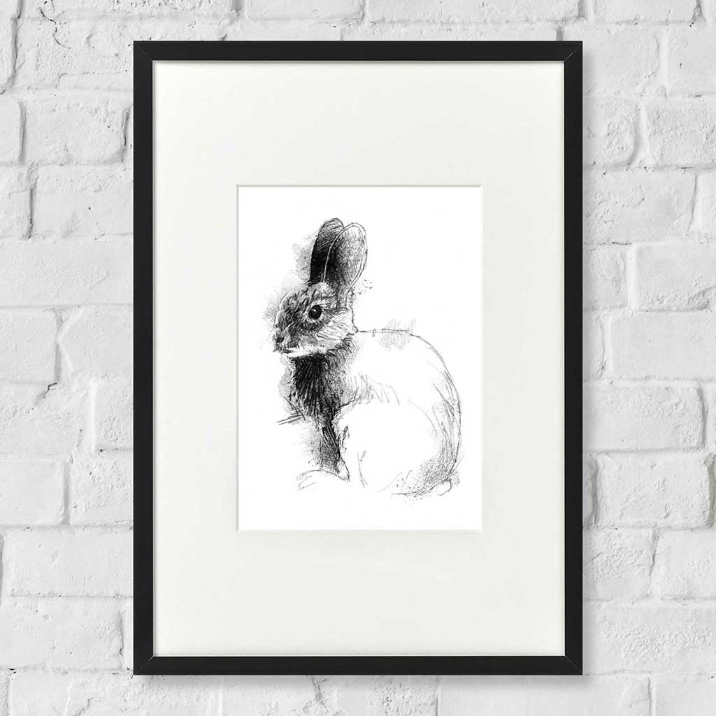 Bunny rabbit
